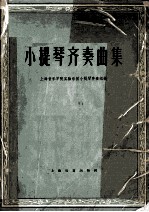 小提琴齐奏曲集  手风琴伴奏