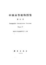 中国高等<em>植物</em>（四）