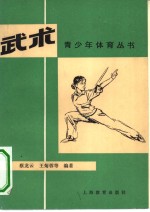 武术
