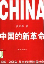 中国的新革命  1980-2006年，从中关村到中国社会