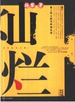 灿烂  第三代人的写作和生活