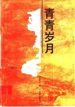 青青岁月