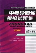中考导向性模拟试题集  物理与化学