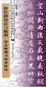 胆巴碑技法与临创  赵孟俯楷书精要精练