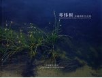 <em>邓伟</em><em>根</em>新疆摄影作品集  中英文本