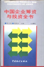 中国企业筹资与投资全书  （上册）