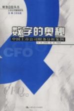 数字的奥秘  中国上市公司财务分析案例