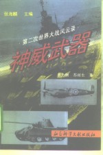 神威武器