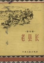 新传奇  老县长