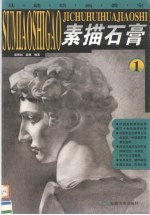 基础绘画教室  素描石膏  1