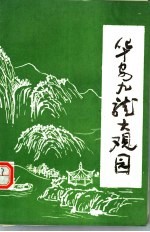 <em>华安</em>九龙大观园