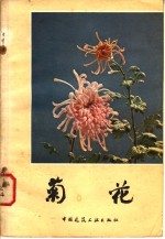 <em>菊花</em>