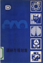 调研与<em>规划</em>集