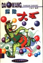 探险大<em>王</em>