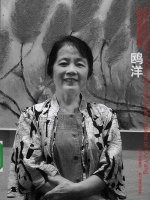中国油画家全集  <em>鸥洋</em>