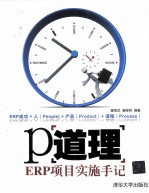 P道理  ERP项目实施手记