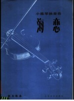 海恋  小提琴独奏曲