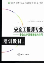 安全工程师专业培训教材  下  安全生产法律基础与应用