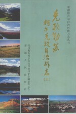 克孜勒苏柯尔克孜自治州志  上