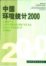 中国环境统计2000  中英文本