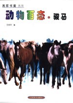动物百态  <em>骏马</em>