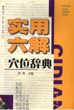 全国高等教育自学考试标准预测试卷  公共课类  实用六解穴位辞典