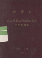 全世界工人团结起来！  <em>金<em>正日</em></em>  大力开展三大革命，掀起生产新高潮