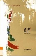 迟<em>子建</em>散文
