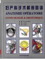 妇<em>产科</em><em>手术</em>解剖图谱