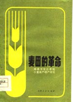麦田的革命  闻喜东官庄旱地小麦高产稳产经验