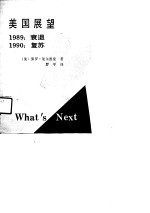 <em>美</em>国展望  1989：衰退  1990：复苏