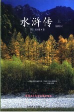 水浒传  上下