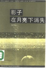 影子在月亮下消失