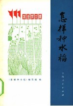 <em>怎样</em>种水稻