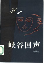 峡谷回声