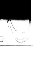 蓝天碧血扬国威  中国空军抗战史料