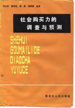 社会购买力的调查与预测