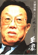 <em>王蒙</em>自传  第2部  大块文章