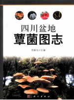四川盆地蕈菌  形态与分子鉴定