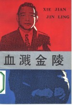 血溅金陵