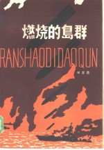燃烧的岛群