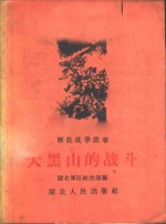 大黑山的战斗  解放战争故事