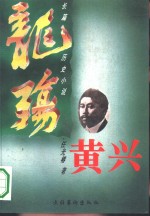 长篇历史小说  黄兴  上  龙殇、下卷：紫气