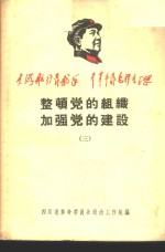 整顿党的组织加强党的建设  3