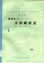 四川自贡大山铺中侏罗世恐龙<em>动物</em>群  第4集  蜥脚类  2  天府峨眉龙