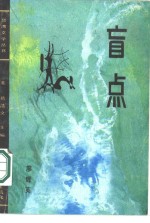 盲点