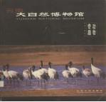 云南大<em>自然</em><em>博物</em>馆  动物奇趣