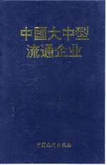 中国大中型流通企业