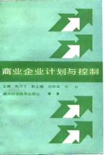 商业企业计划与控制