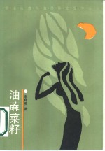 油麻菜籽